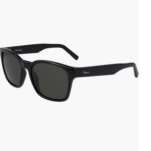 Salvatore Ferragamo Sunglasses with case